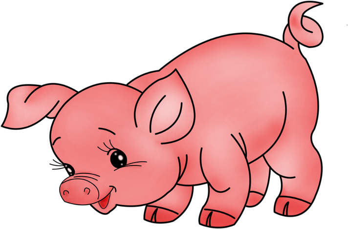 Pig