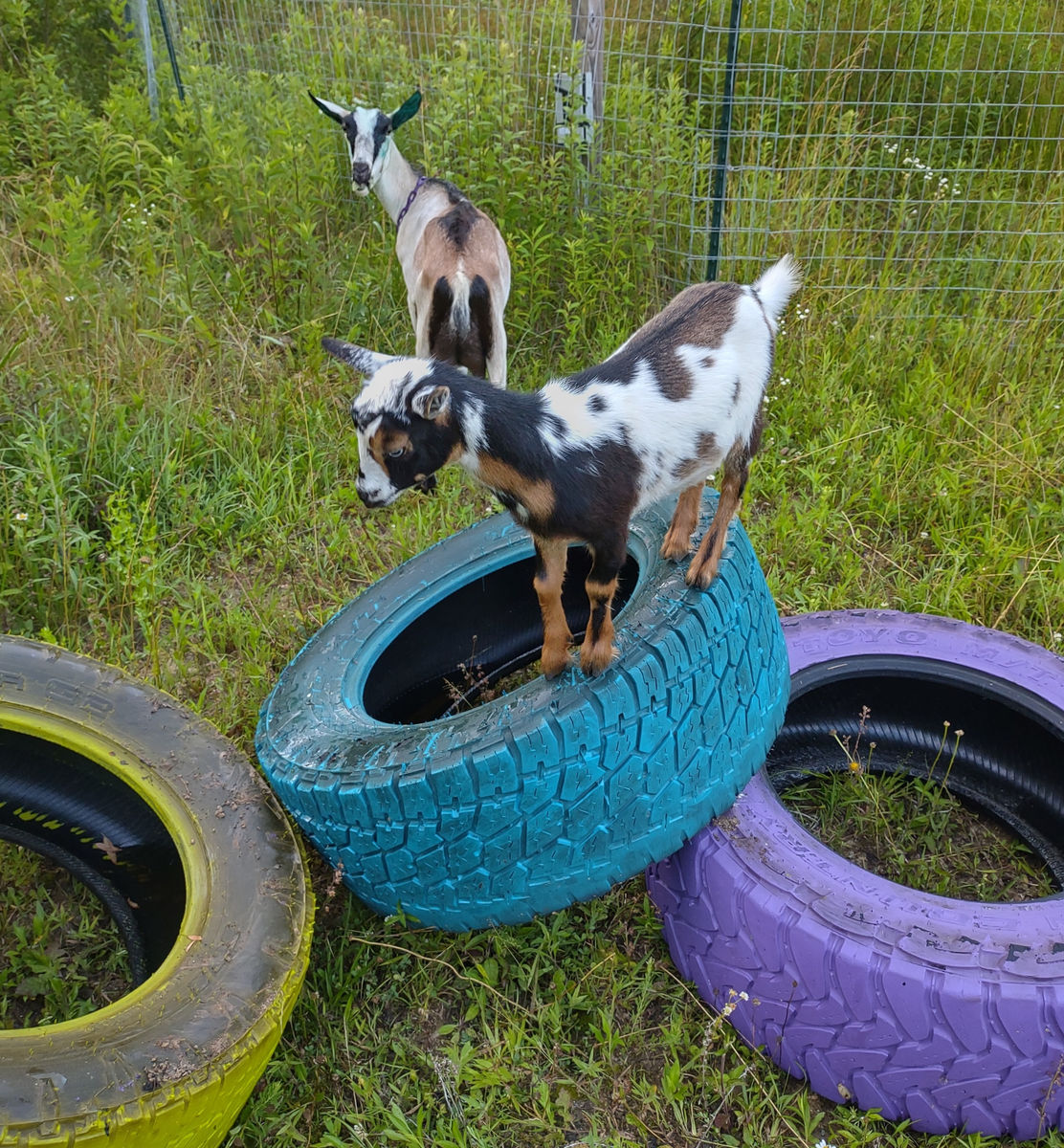 Play time! :D
