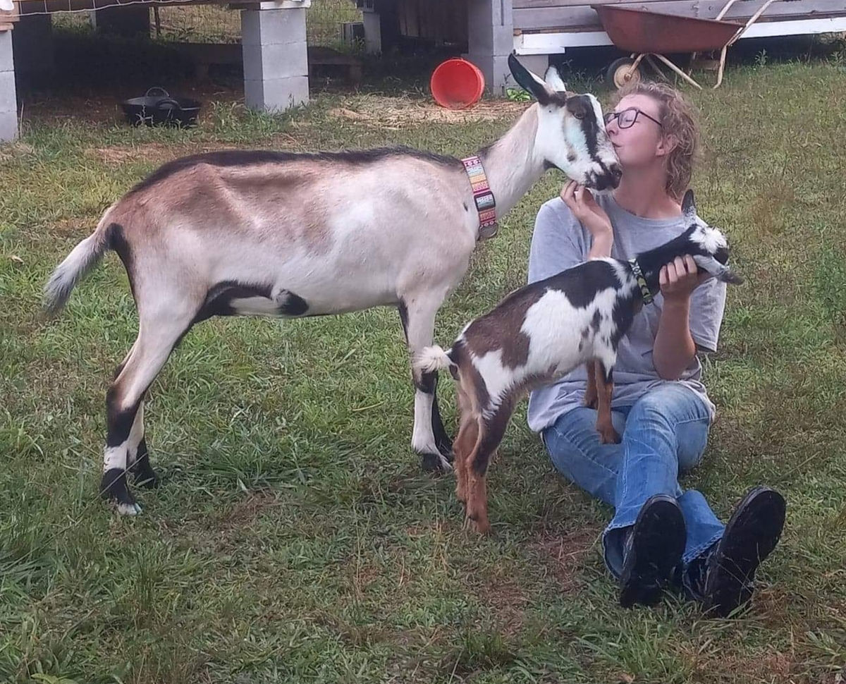 Goat love! <3 <3 <3