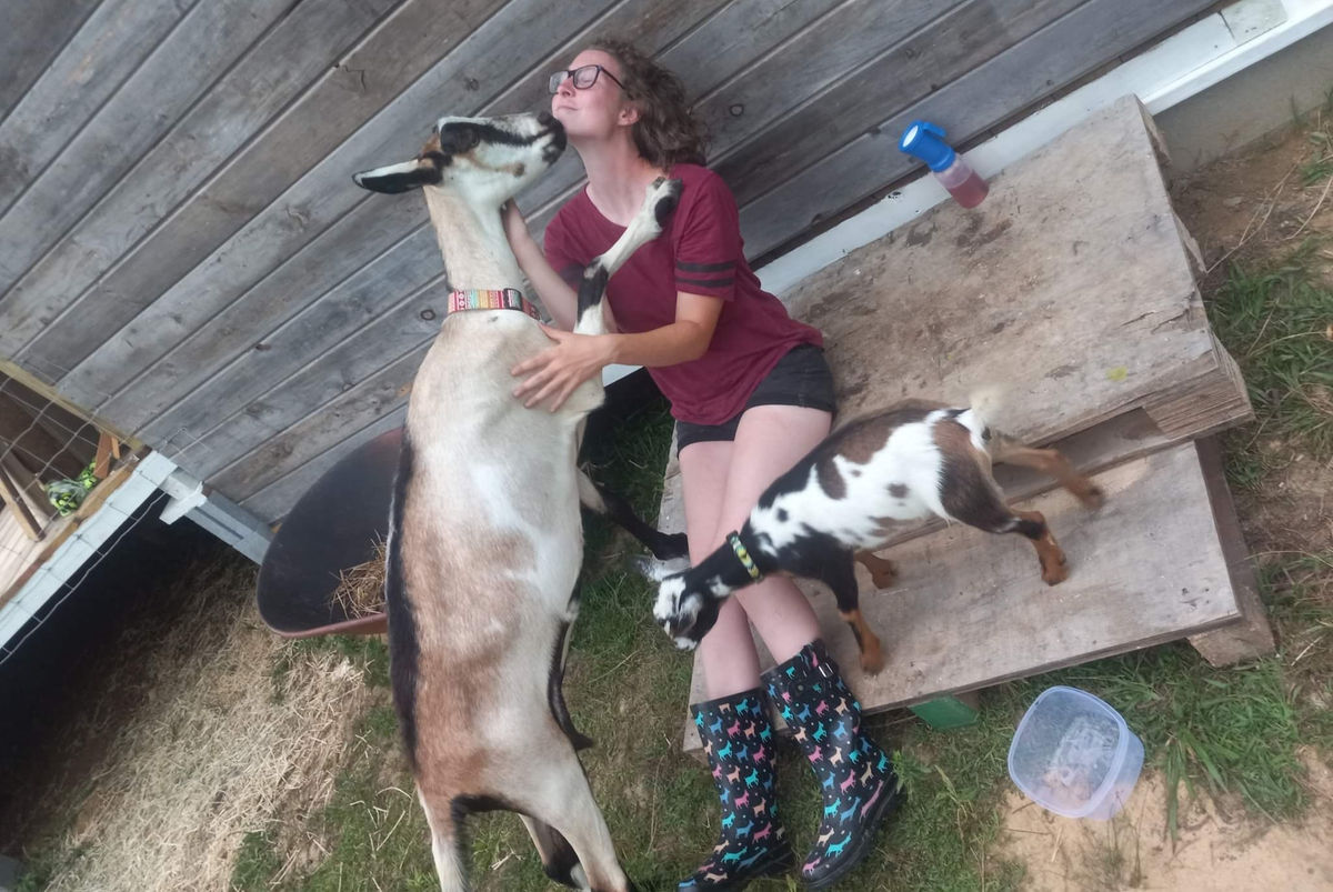 More goat love! <3