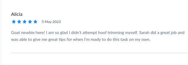 Thanks for the review Alicia! :)