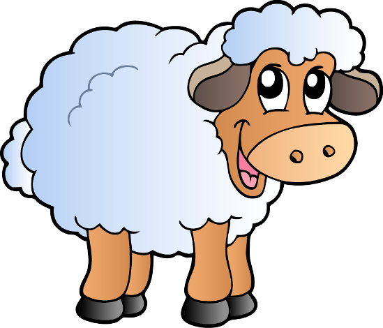 Sheep